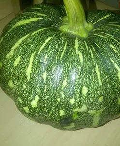 Hara Kaddu (Green Pumpkin)