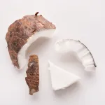 Nariyal Tukde (Coconut Chunks)