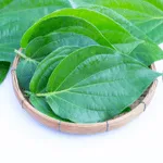 Paan Betel Leaves 1 PC