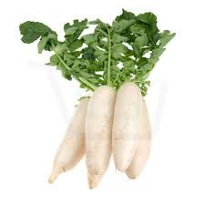 Mooli (Radish)