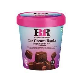 Baskin Robbins Rocks Missisipi Mud Ice Cream Cup