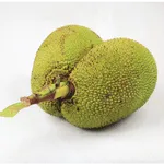 Jackfruit 500g