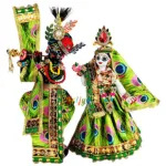 Radha Krishna Matching Dress