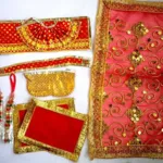 Laxmi Ji Saree Dress