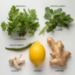 Dhaniya Pudina Chutney Combo