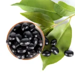 Jamun 250 g Jamun