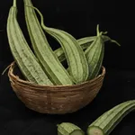Turai 500g Ridge Gourd