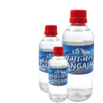 Gangajal 500ml