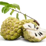 Sitaphal (Custard Apple