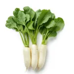 Radish