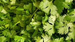 Kati Methi (Fenugreek Chopped)