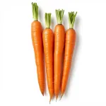 Carrot