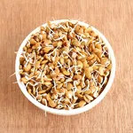 Horse Gram Sprouts 250g (Kulthi Sprouts)