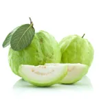 Amrood (Guava)