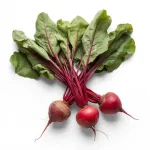 Beetroot